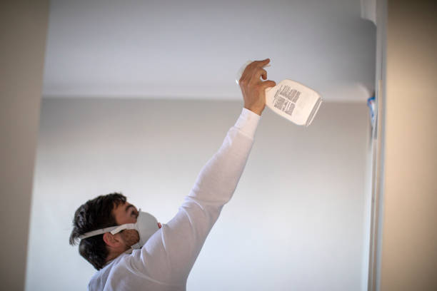 Best Mold Removal Specialists  in Sturgis, SD