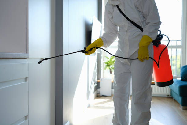 Attic Mold Removal in Sturgis, SD